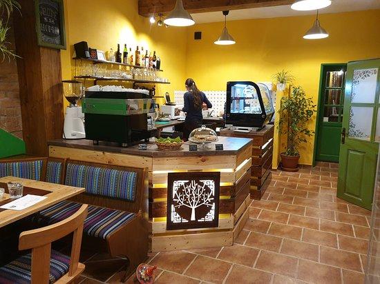 La Casa Verde